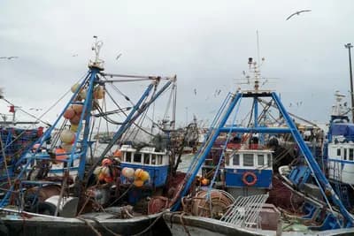Blue boats moored in Essaouira’s fishing port