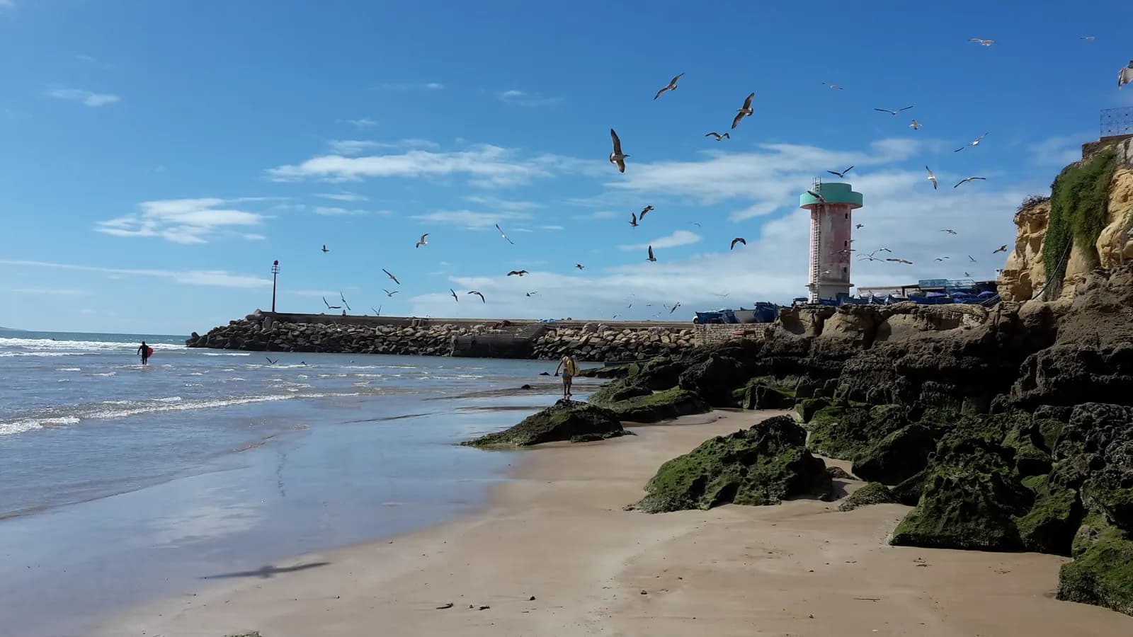 Plage d’Imsouane à marée basse, rochers couverts d’algues, jetée du port et tour rose et verte, mouettes en vol